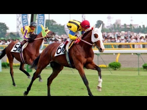 第５３回　東京優駿（日本ダービー）（ＧⅠ）　ダイナガリバー　牡３　57　増沢末夫　1986.5.25　　出走馬： グランパズドリーム、ラグビーボール、ダイナコスモス、サニーライト、レジェンドテイオー他