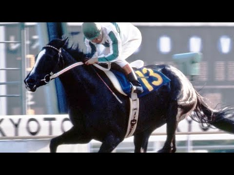 第１１回　エリザベス女王杯 （ＧⅠ）　メジロラモーヌ　牝３　55　河内洋　1986.11.2　　出走馬：スーパーショット、ロイヤルシルキー、ダイナフェアリー、サクラハッスル、ポットテスコレディ他