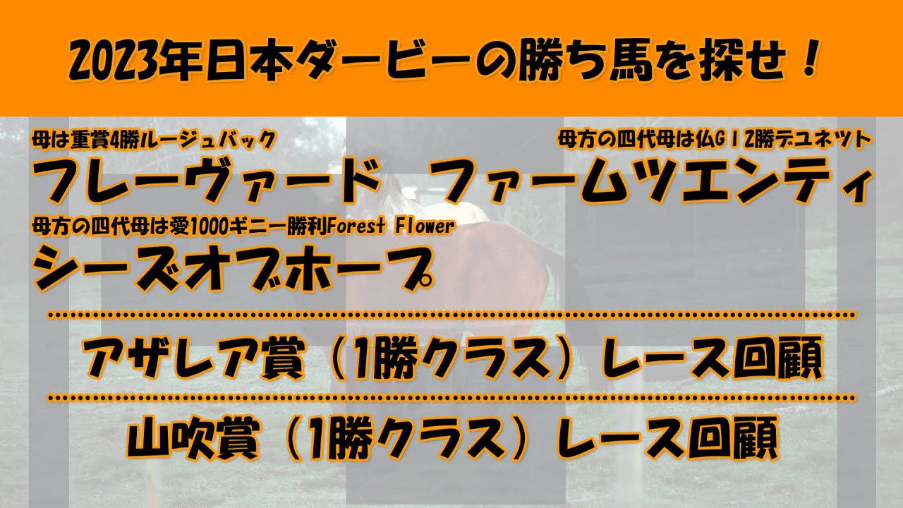 2023年日本ダービー馬を探せ！#53　フレーヴァード、シーズオブホープ、ファームツエンティを注目馬として取り上げました。アザレア賞（1勝クラス）と山吹賞（1勝クラス）のレース回顧。