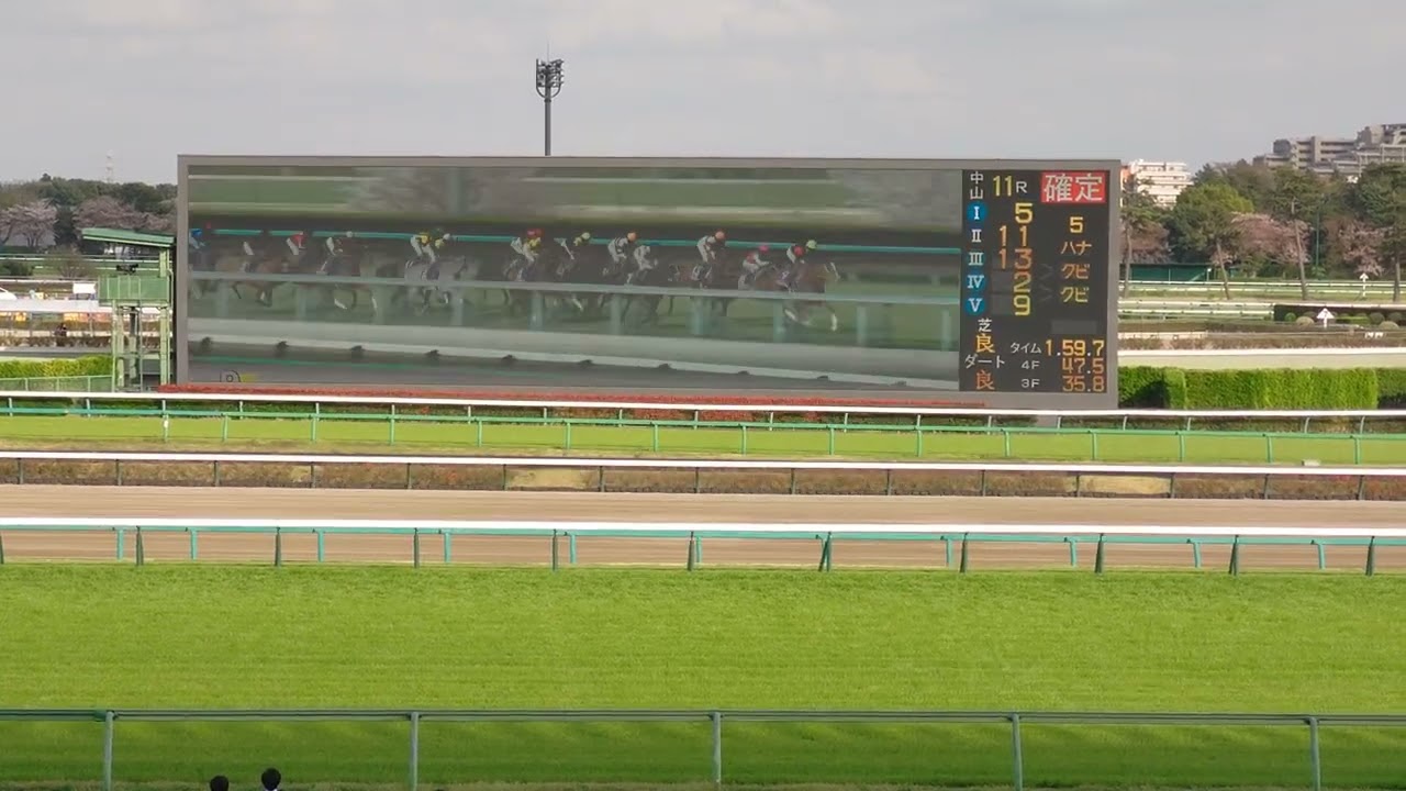 大阪杯2023 中山競馬場での観戦