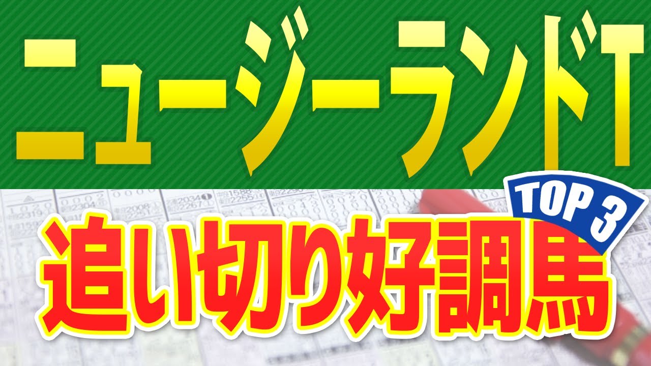 【ニュージーランドトロフィー2023】追い切りが抜群だった「トップ3」はこの馬だ🐴 ～JRA競馬予想NZT～