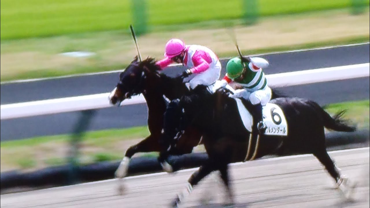 中山4レース障害未勝利 ブルメンダール