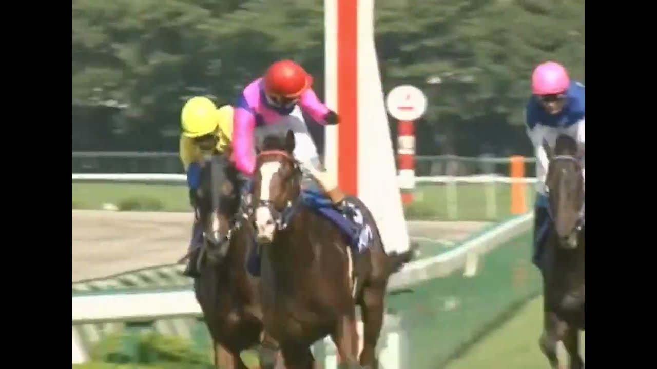 テイエムオペラオー 2001年 第42回宝塚記念(GI) (優勝馬：メイショウドトウ) (実況：ラジオたんぱ)