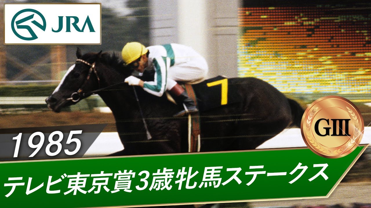 1985年 テレビ東京賞3歳牝馬ステークス（GⅢ） | メジロラモーヌ | JRA公式