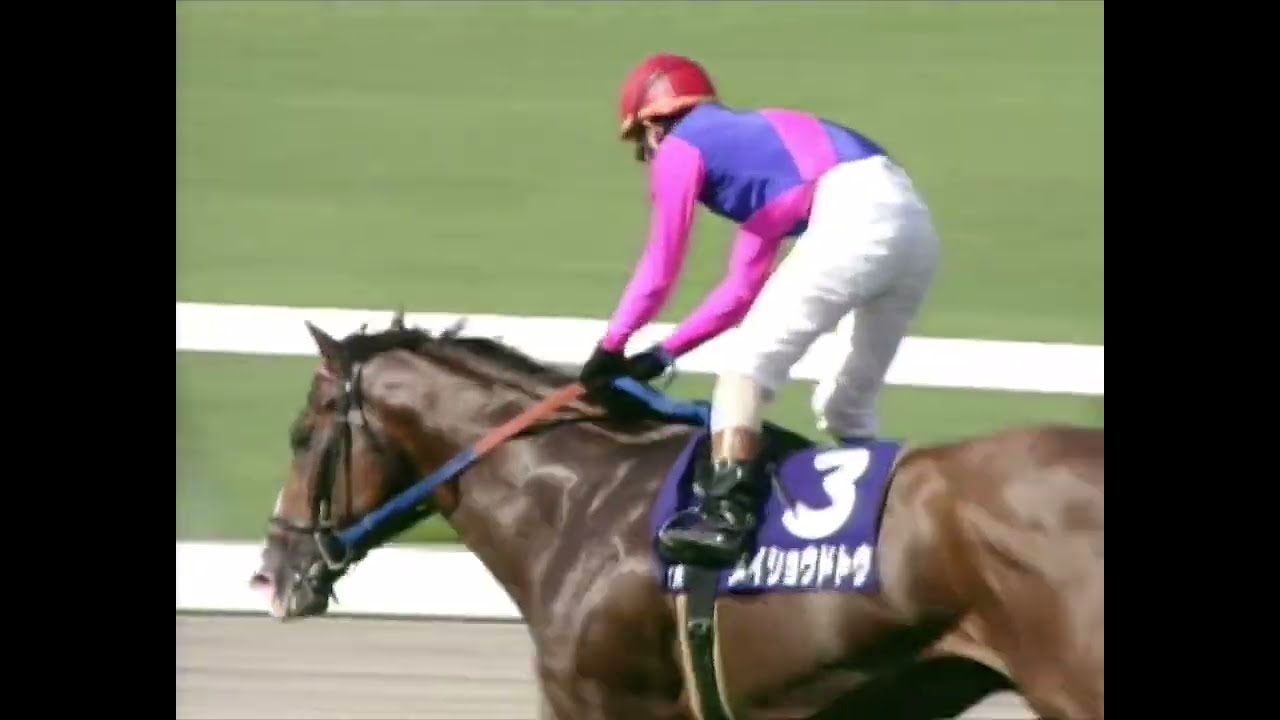 テイエムオペラオー 2001年 第42回宝塚記念(GI) (優勝馬：メイショウドトウ)