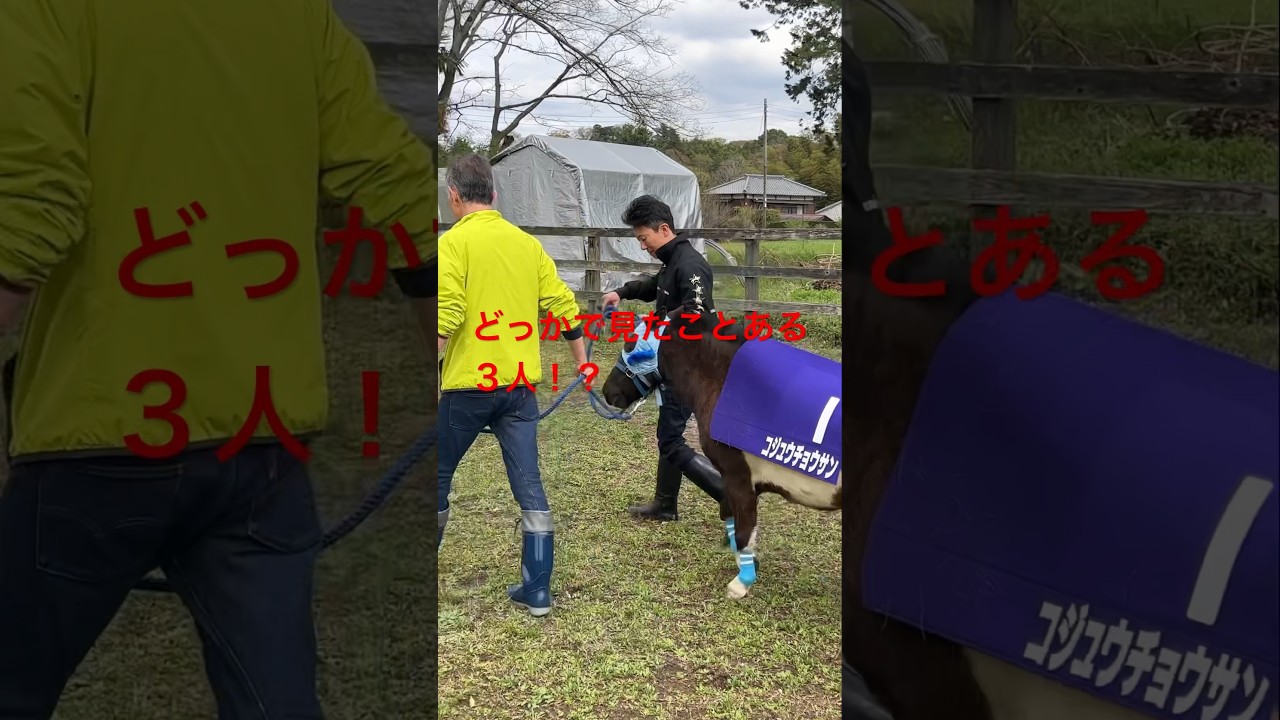 コジュウと石神騎手と長沼厩務員の奇跡のコラボレーション！！  #おさむとなべ #馬 #競馬 #コジュウチョウサン #エピ #horse  #石神騎手 #長沼厩務員 #ジャンプ #かわいい