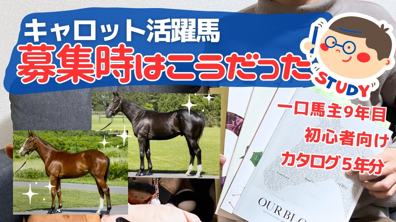 【一口馬主】ペリファーニア他１０頭！キャロット活躍馬の募集時を振り返る！初心者向け、値段、血統、馬体