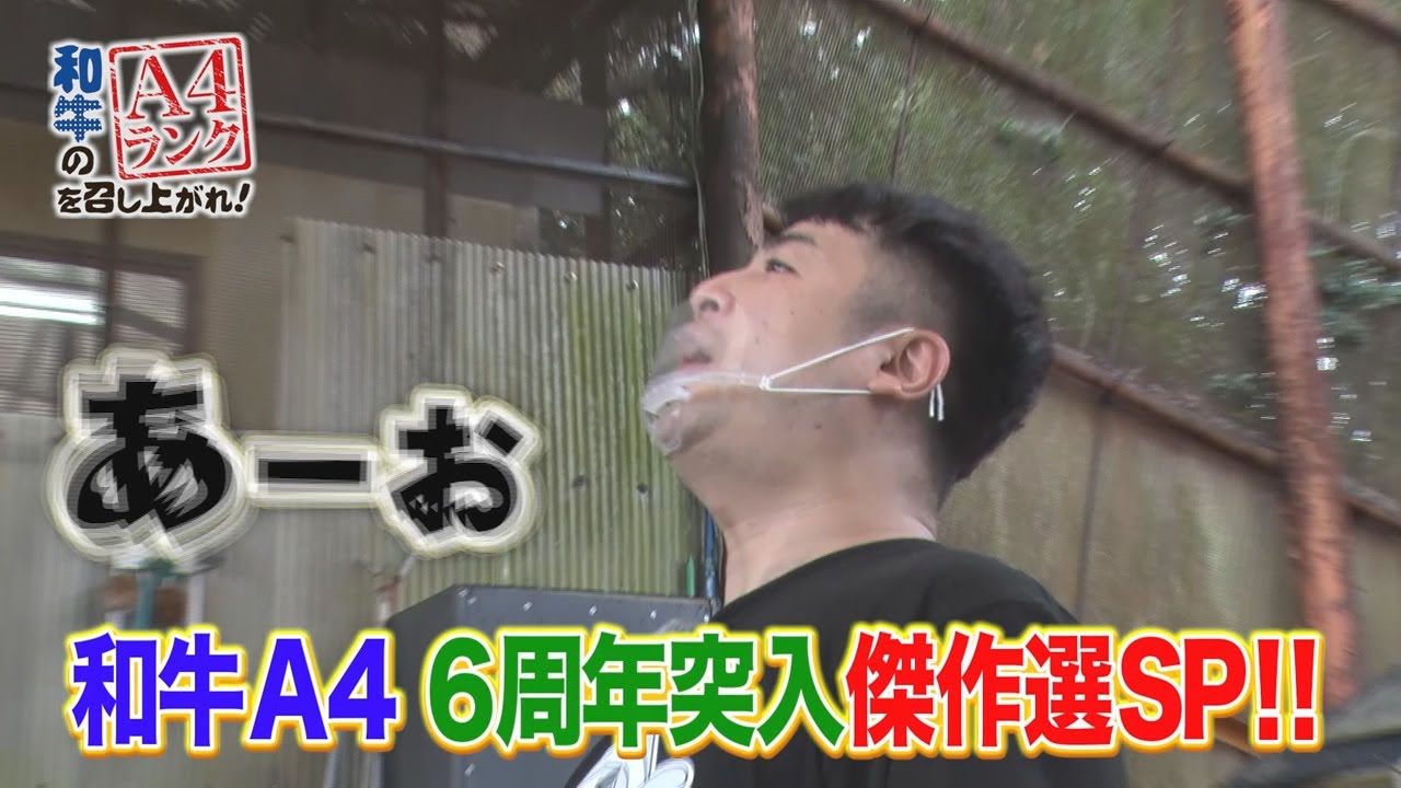 4月9日の和牛のA4ランクを召し上がれ！