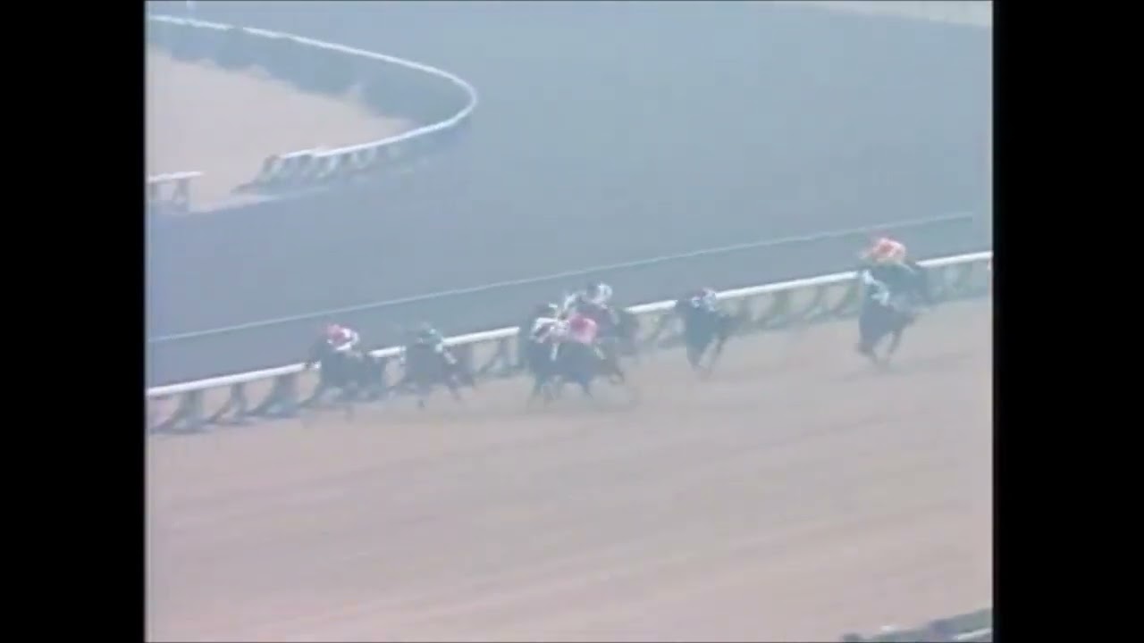 第３８回　朝日杯３歳ステークス （ＧⅠ）　メリーナイス　牡２　54　根本康広　1986.12.14　　出走馬：ホクトヘリオス、スーパーファントム、ドウカンプレス、ナエボルーラ、ターボツィッグ他