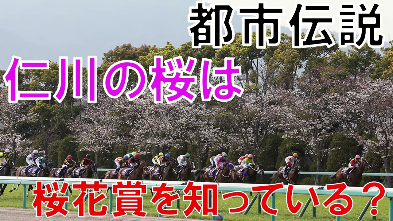 【都市伝説】阪神競馬場の桜が桜花賞に合わせて満開になる謎　人為的操作の疑惑？