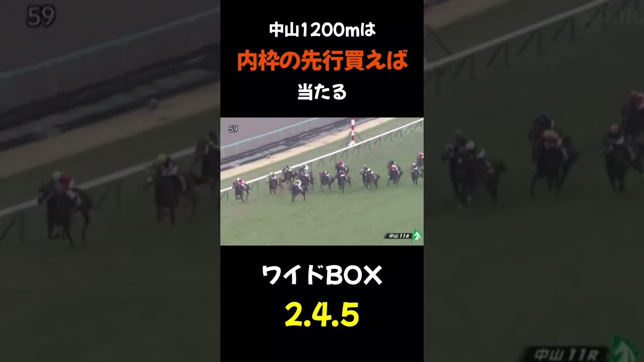 中山1200は内枠から#ワイド #競馬 #ギャンブル