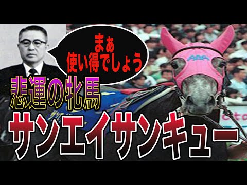 【競馬】休むことが許されなかった悲運の牝馬
