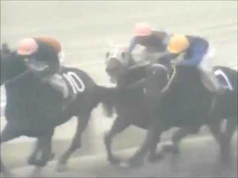 1974年鳴尾記念　有馬記念馬ストロングエイト貫禄の逃げ切り　～KBS京都競馬実況