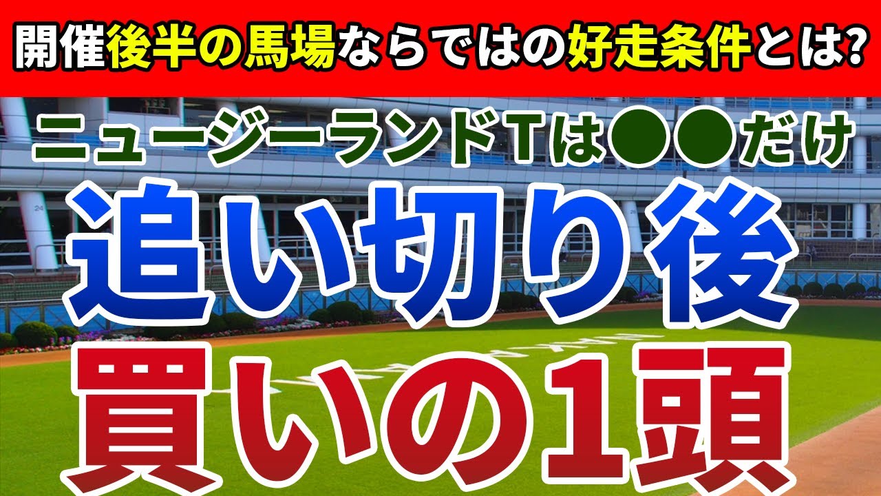 ニュージーランドトロフィー2023 追い切り後【買いの1頭】公開！前走のパフォーマンスと適性から一択！格下参戦から一撃を決める一頭とは？