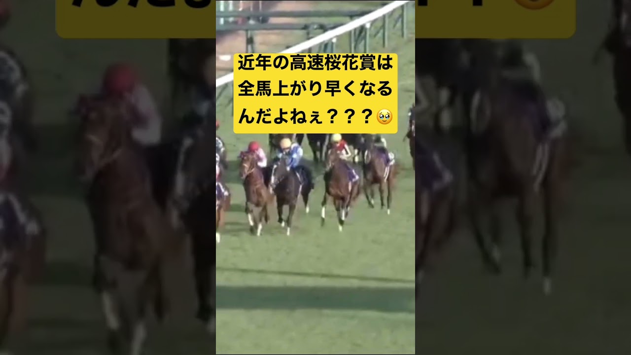 桜花賞だけど…リバティアイランドなんてくるワケねーだろwww #競馬 #競馬予想 #リバティアイランド