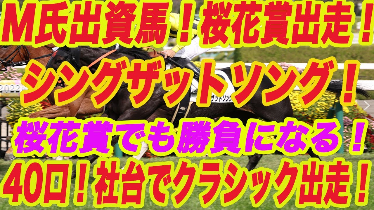 【 M氏！社台出資馬が桜花賞出走！】40口、しかも社台でクラシック（桜花賞）出走！シングザットソング応援動画！