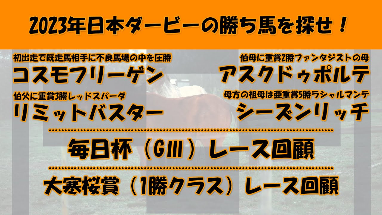 2023年日本ダービー馬を探せ！#52　コスモフリーゲン、リミットバスター、アスクドゥポルテ、シーズンリッチを注目馬として取り上げました。毎日杯（GⅢ）＆大寒桜賞（1勝クラス）レース回顧。