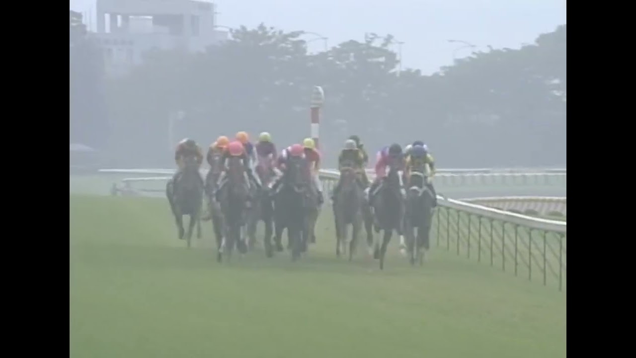 テイエムオペラオー 2001年 第124回天皇賞(秋)(GI) (優勝馬：アグネスデジタル) (実況：ラジオたんぱ)