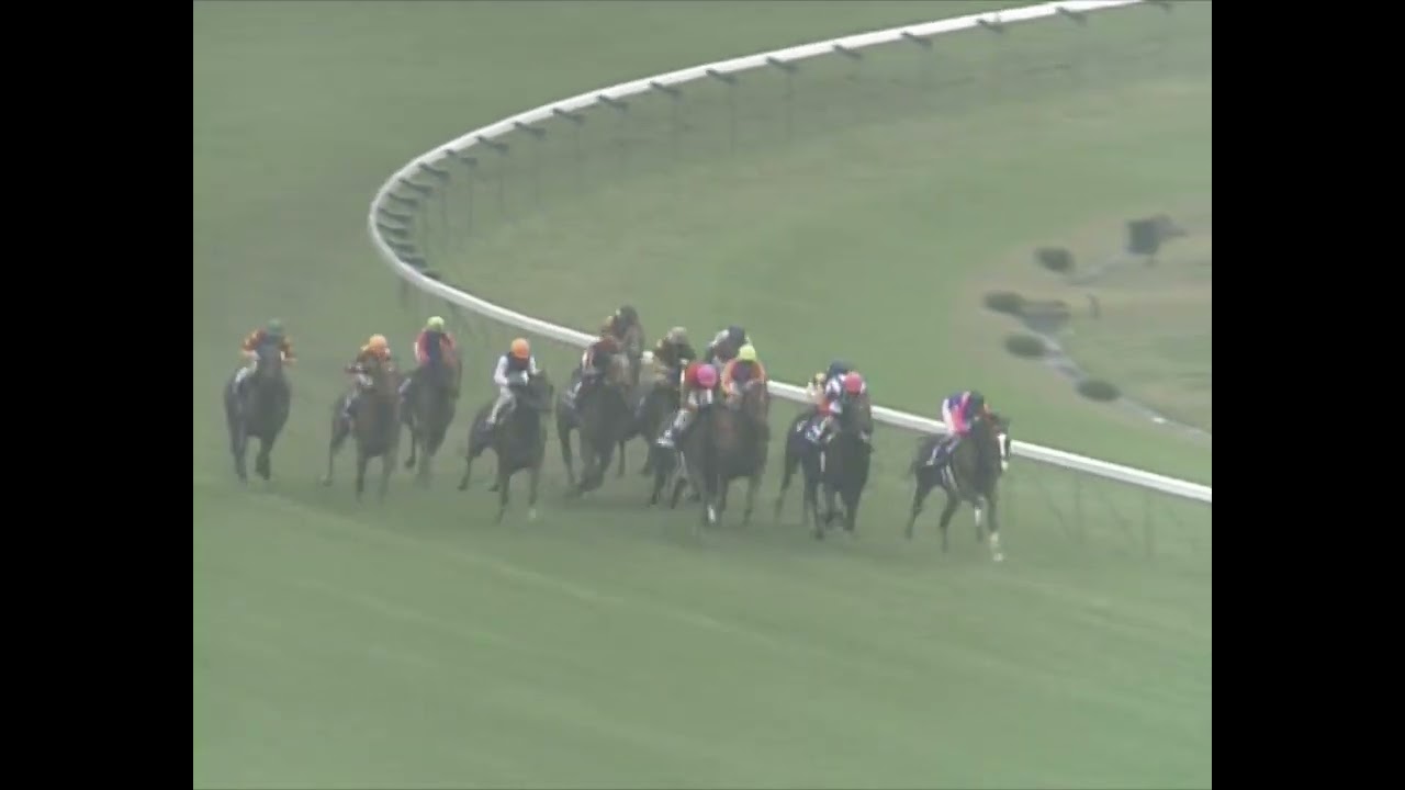 テイエムオペラオー 2001年 第124回天皇賞(秋)(GI) (優勝馬：アグネスデジタル)