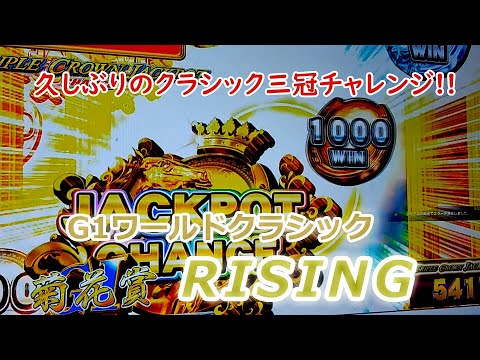 １９７　メダルゲーム　G１ワールドクラシック　ライジング　RISING　番外編　【クラシック三冠挑戦】　アキポ　菊花賞　メイン店舗