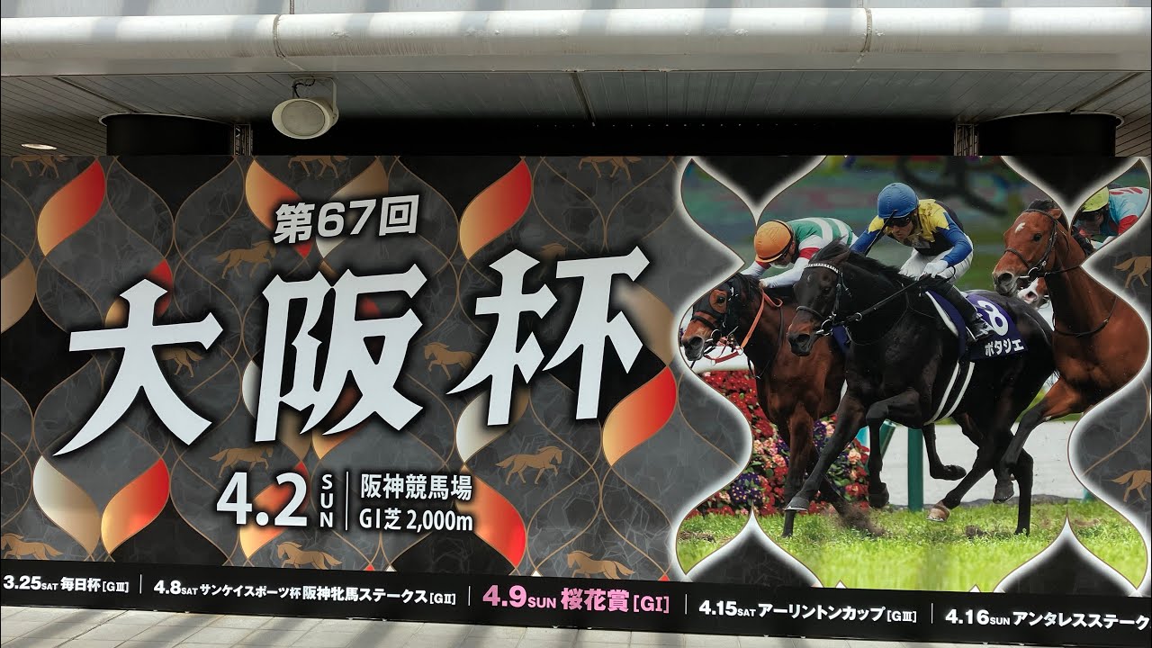 2023  大阪杯  ゴール板目の前での現地映像