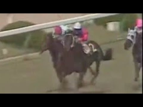 第２７回　宝塚記念 （ＧⅠ）　パーシャンボーイ　牡４　56　柴田政人　1986.6.1　　出走馬：メジロトーマス、シングルロマン、スズカコバン、スダホーク、クシロキング、リワードウイング他