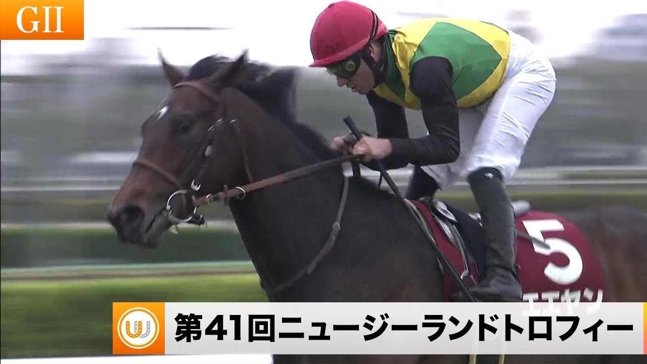 【2023】第41回ニュージーランドトロフィー（GII）中山競馬場11R ｜ウイニング競馬 2023年4月8日（土）