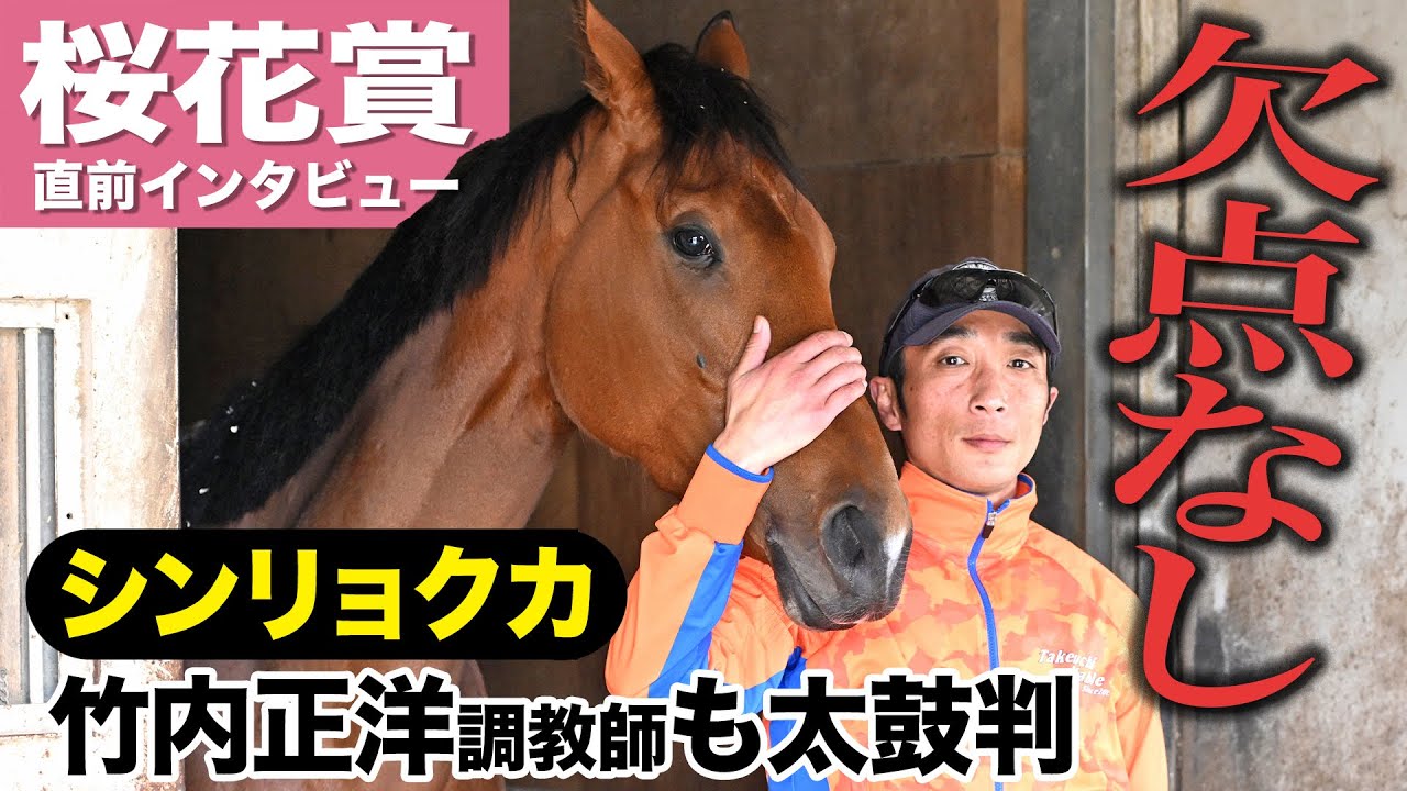 【桜花賞2023】リバティアイランドを脅かす１頭！シンリョクカ・竹内正洋調教師「欠点らしい欠点無い」「不安要素も少なくなってきた」陣営に直撃インタビュー！《東スポ競馬》