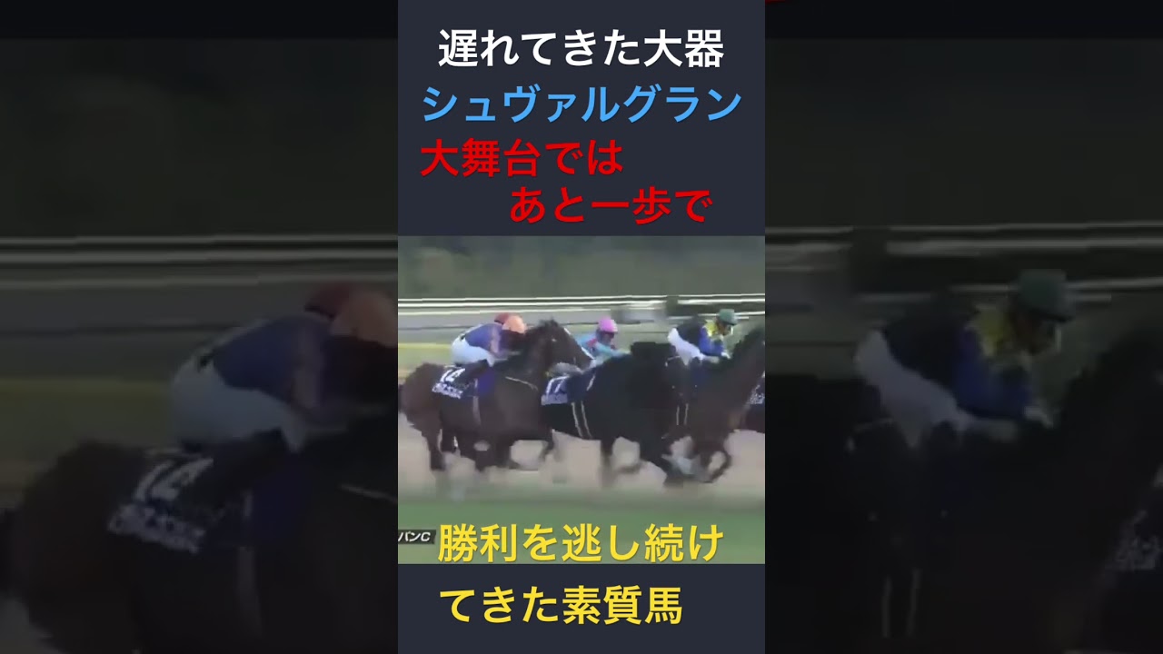 シュヴァルグラン＃ジャパンカップ