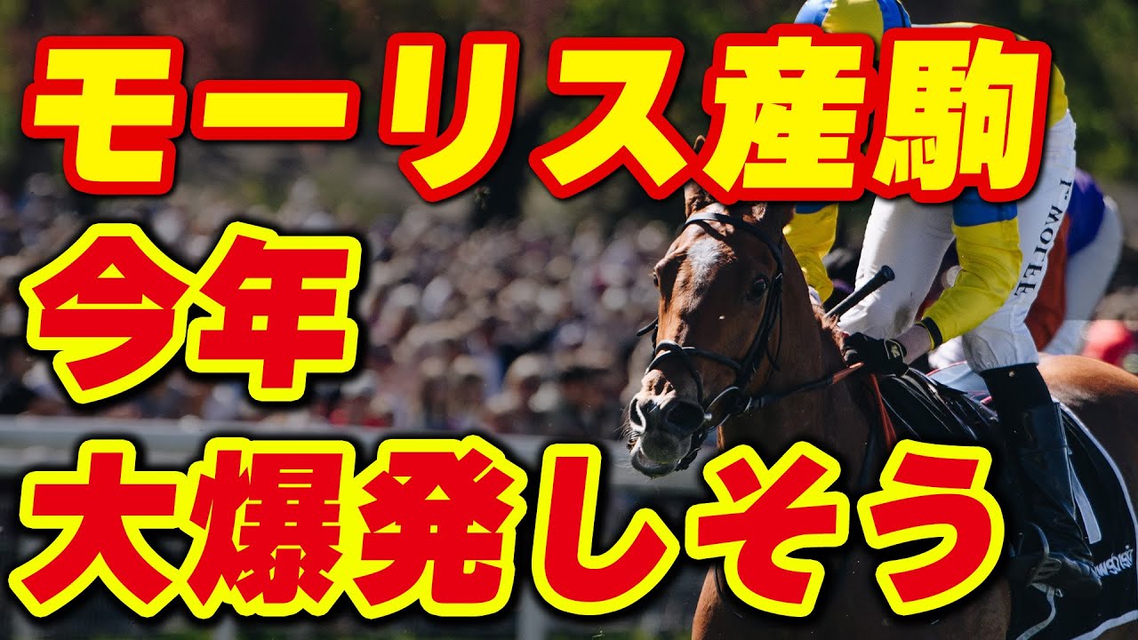 モーリス産駒が今年大爆発しそう！ジャックドールに続く馬は？