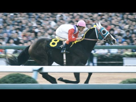 第３５回　朝日杯３歳ステークス　ハーディービジョン　牡２　54　的場均　1983.12.11　出走馬：ハツノアモイ、オンワードカメルン、コンラートシンボリ、メイトスポート、マリキータ、リキサンパワー他