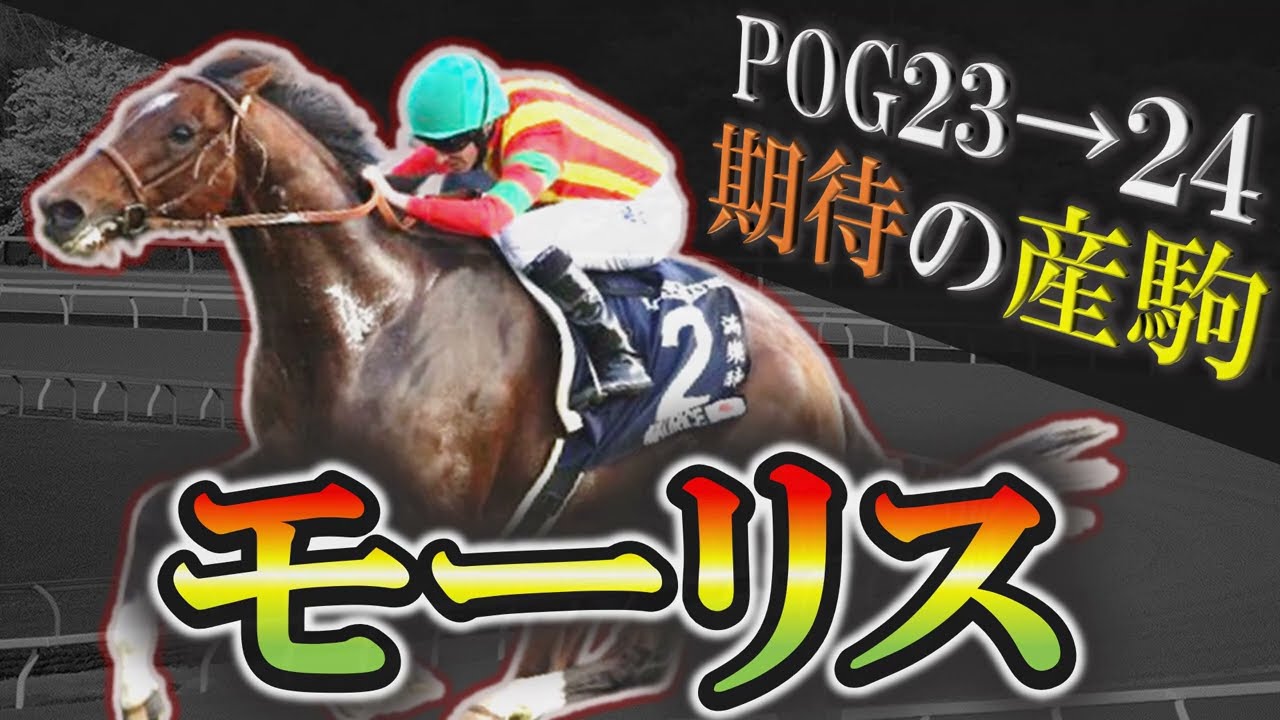 【祝大阪杯制覇】超良血軍団！モーリス期待の産駒を10頭紹介します！【2歳馬】【pog23-24】