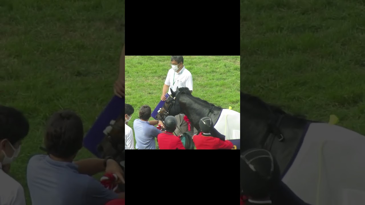 宝塚記念勝利で皆んなから労われるタイトルホルダー #horse #animal