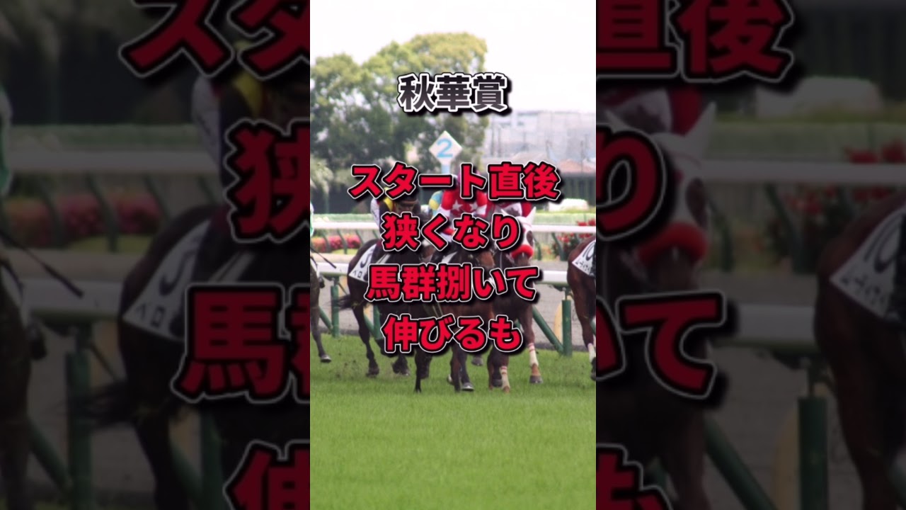 【大阪杯2023】30秒でわかるスターズオンアース