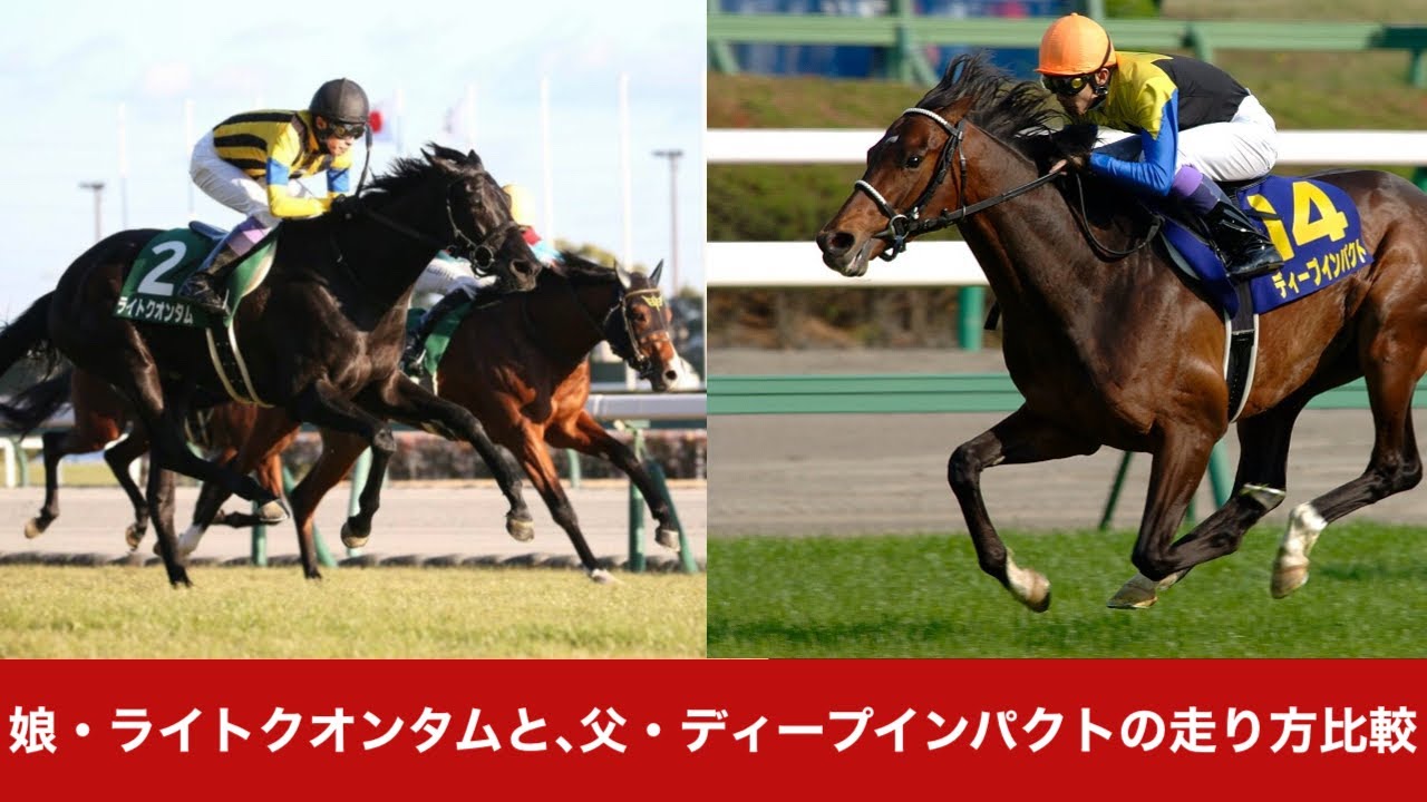ライトクオンタムとディープインパクト 走り方比較