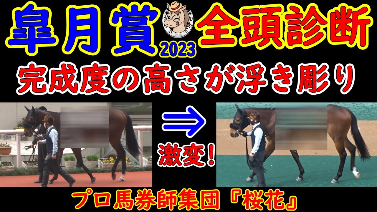 皐月賞2023一週前レース予想全頭診断！待ちに待った牡馬クラシックが幕を開ける！大混戦でどの馬も良い馬が多いが人気のソールオリエンスやファントムシーフを押し退けて今回飛び抜けて完成度の高い馬がいる！