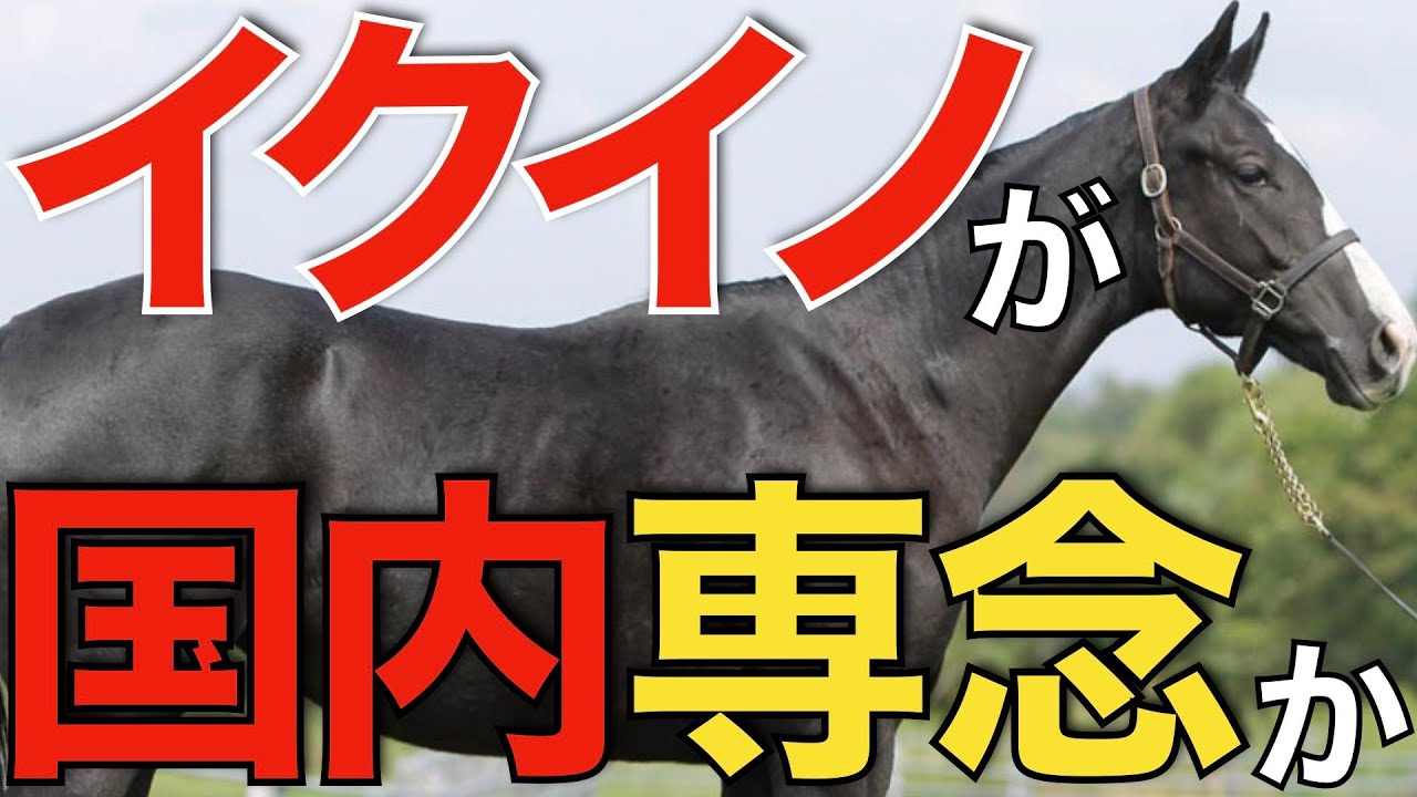 【国内無双】イクイノックスの秋は天皇賞からジャパンカップ！？秋古馬3冠もありえるか。