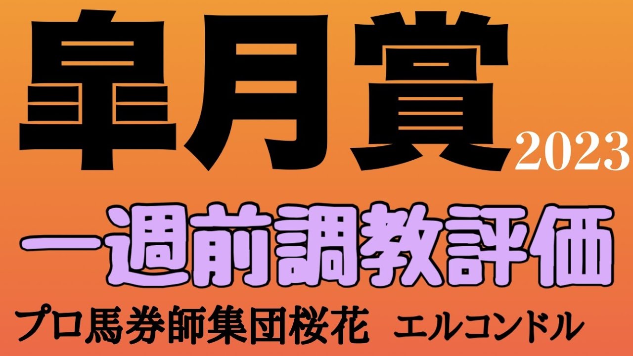 プロ馬券師集団桜花エルコンドル氏の皐月賞2023一週前調教評価！！いよいよ牡馬クラッシック初戦！出走各馬の動きは！？人気馬の動きやいかに！