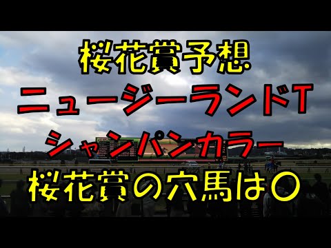 ２０２３年　桜花賞予想【ニュージーランドTシャンパンカラー無料公開　３連単８万的中　桜花賞も穴馬狙います】