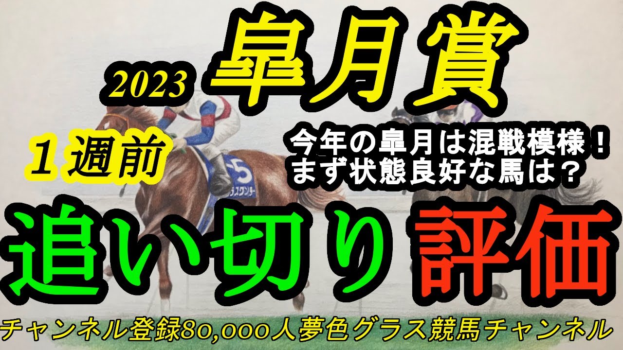 【1週前追い切り評価】2023皐月賞！今年は大混戦模様の1戦！1週前の段階で状態が良さそうなのは？