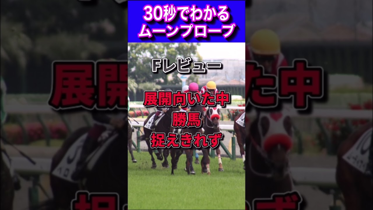 【桜花賞2023】30秒でわかるムーンプローブ