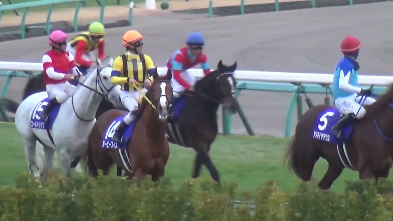 【作業用ノー編集版】有馬記念の一日　ゴールドシップ　引退日