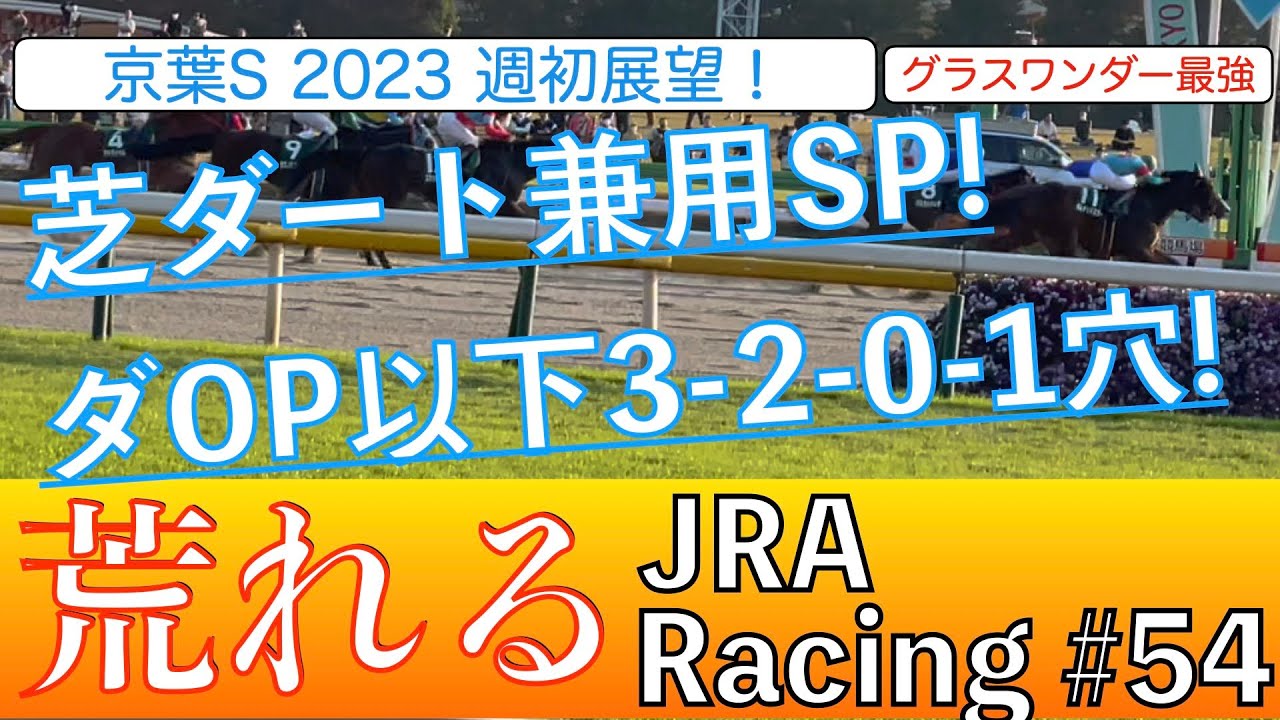 【競馬予想】京葉S2023〜S評価は大穴カルネアサーダ❗️芝ダート兼用のスピードで芝スタートの中山ダート1200を制覇する❗️〜