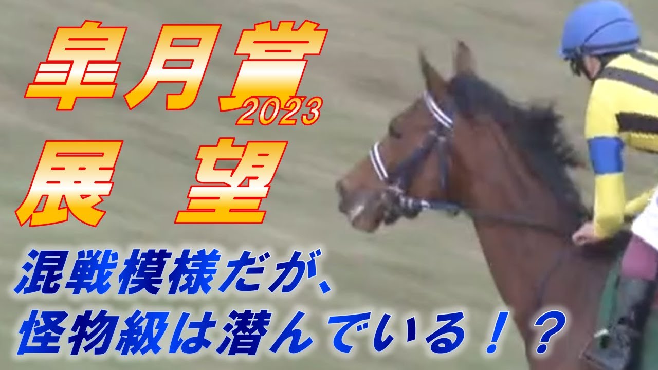 皐月賞2023　展望　混戦模様だが、怪物級潜んでいると見る！！　元馬術選手のコラム【競馬】