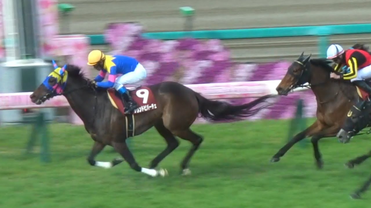 阪神牝馬ステークス2023！ヴィクトリアマイルへの優先出走権を手にするのはどの馬か？