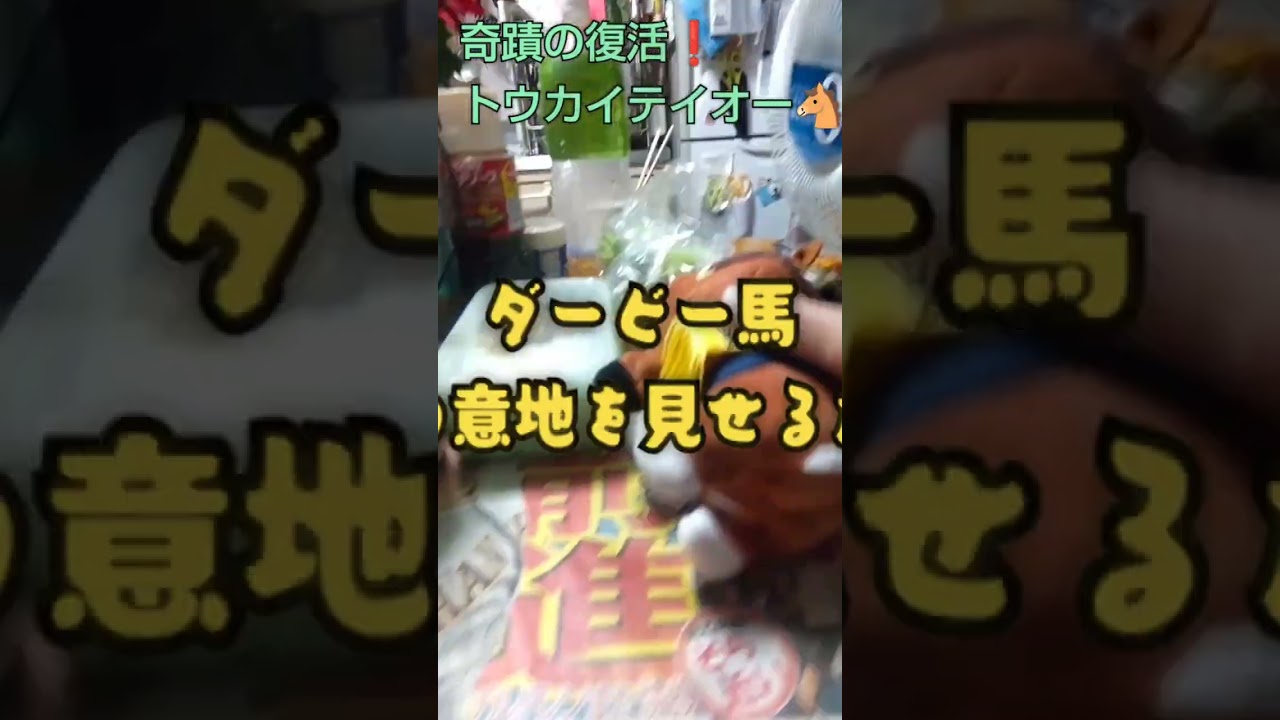 トウカイテイオー🐴奇蹟の復活の有馬記念