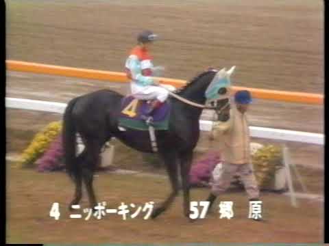 杉本清　競馬名勝負物語
