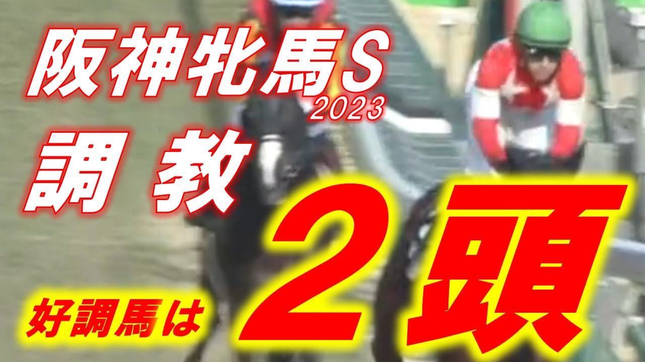 阪神牝馬ステークス2023　追い切り診断！！　ルージュスティリアの評価は！？　前走大敗から巻き返せる馬もいる！！　元馬術選手のコラム【競馬】