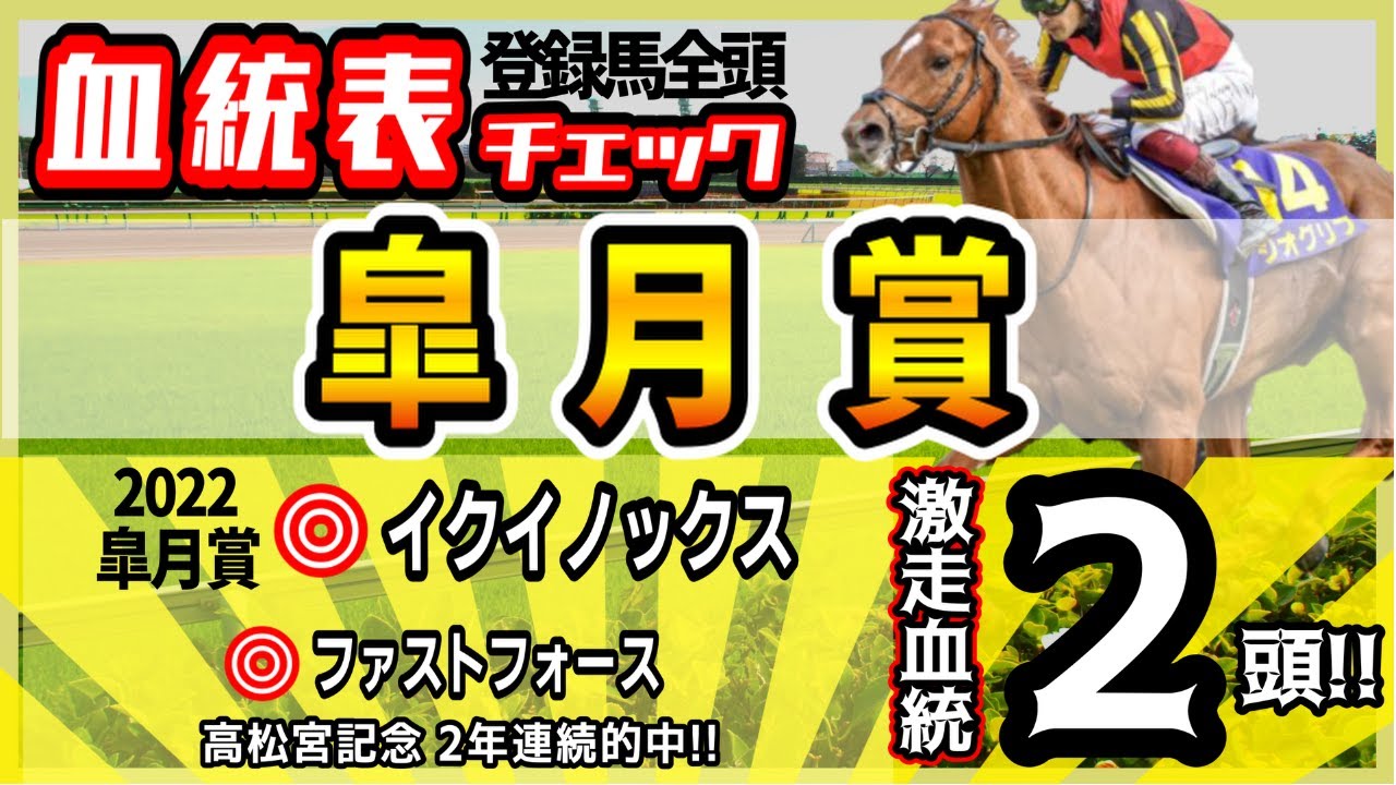 【皐月賞2023】桜花賞と打って変わって大混戦！？2022◎イクイノックス！2年連続目指し高評価2.頭！