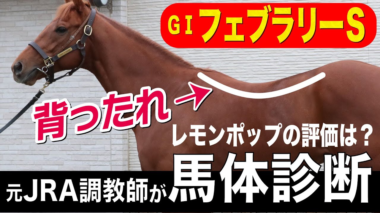 【フェブラリーS2023】中村均元調教師が馬体診断　レモンポップ、ドライスタウト、テイエムサウスダンなど有力馬を徹底解説《東スポ競馬ニュース》